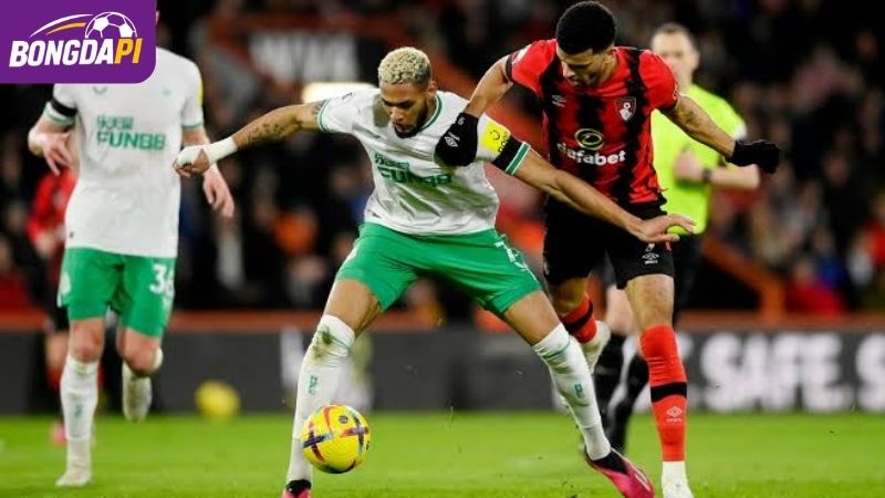 Tương quan phong độ Newcastle vs Bournemouth